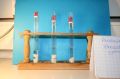 gal/LES_CINQUIEMES/ACTIVITE DIGESTION IN VITRO/Groupe_01/Groupe01_T_00h00min/_thb_Groupe01_temps00H00min_4.jpg